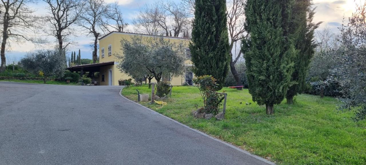 Oltre La Siepe Apartment Nepi Luaran gambar